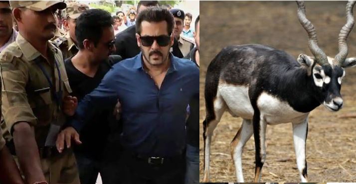 Salman Khan Blackbuck Case Update: Jodhpur Court To Hear Case | D5 Channel  English