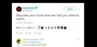 Netflix Recommendations based on crush