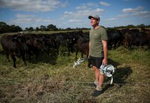 English Farm Keeps Pasture Green Through Two Months Without Rain
