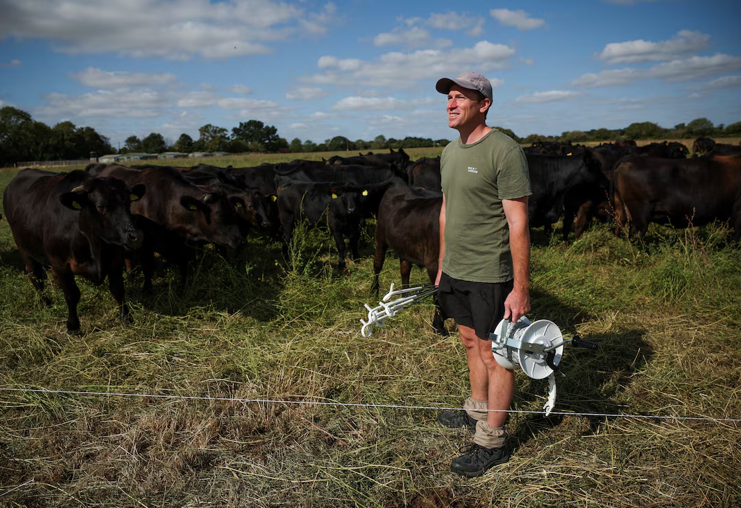 English Farm Keeps Pasture Green Through Two Months Without Rain