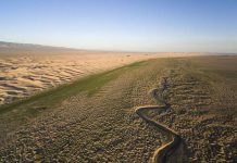 UN Conference Warns 40% of the World’s Land Is Degraded