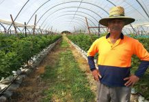 Study estimates Australian Sikh community contributes A$15.4 billion annually