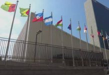 UN Experts Urge U.S. to Halt Third-Country Deportations
